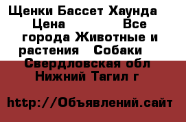 Щенки Бассет Хаунда  › Цена ­ 25 000 - Все города Животные и растения » Собаки   . Свердловская обл.,Нижний Тагил г.